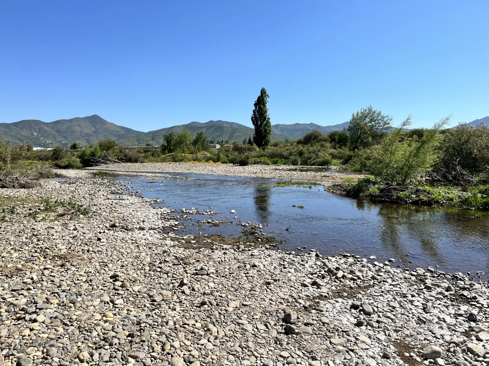 Río de aguas tranquilas con una orilla de piedras redondeadas junto a la Piedra Tacita, con un álamo y los cerros al fondo