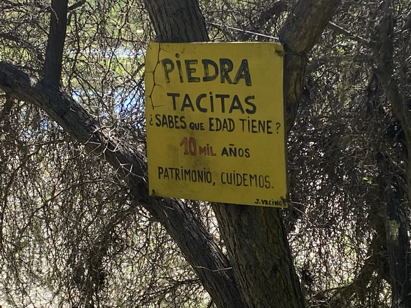 Letrero amarillo pintado a mano en un árbol: «Piedra Tacitas, ¿sabes qué edad tiene? 10 mil años. Patrimonio, cuidemos»