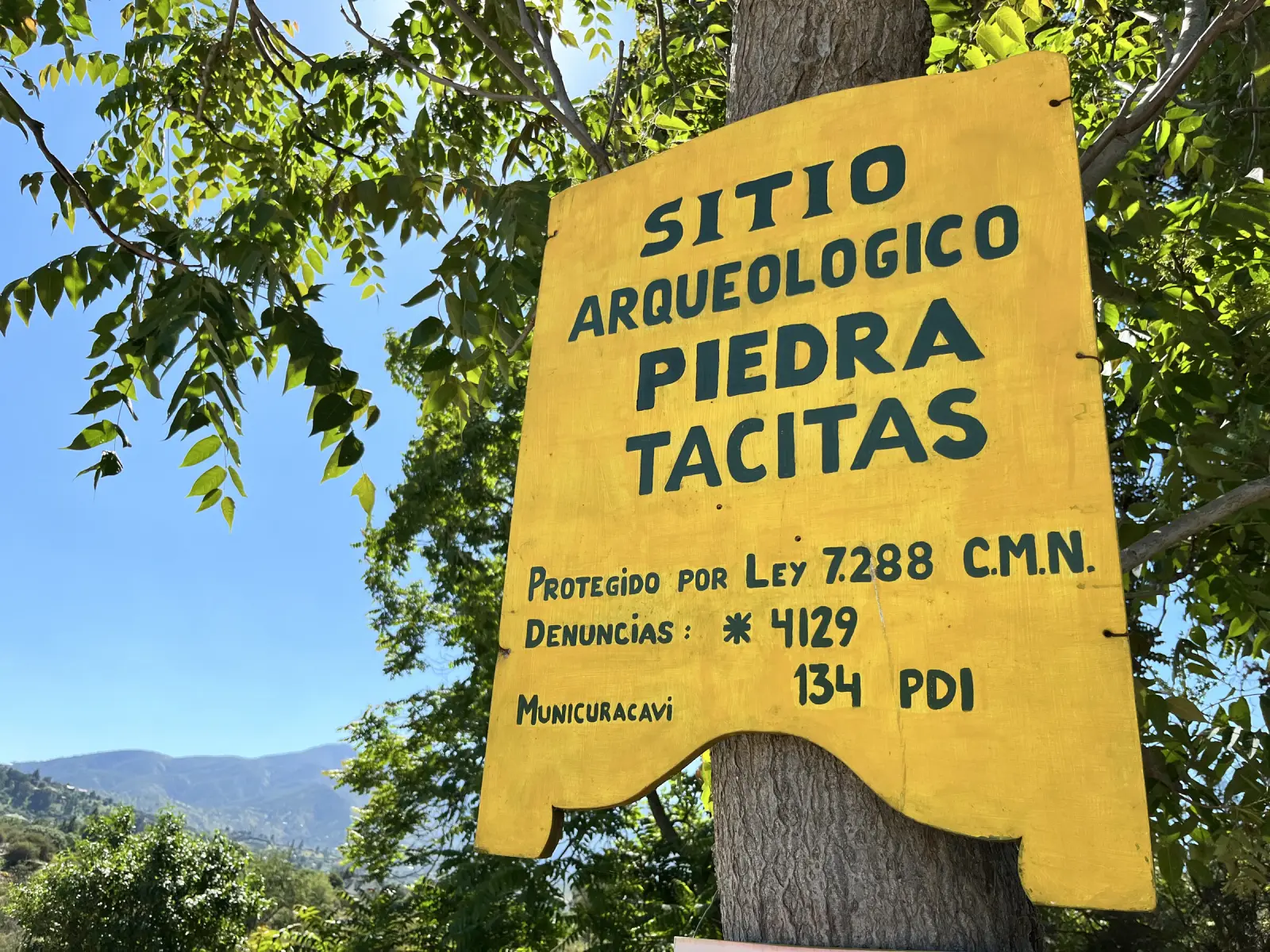 Letrero amarillo «Sitio Arqueológico Piedra Tacitas», protegido por la ley de Monumentos Nacionales, colgado de un árbol frente a los cerros