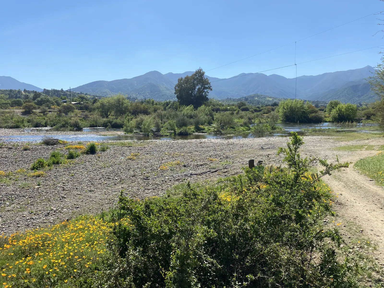 Camino de tierra junto al río con amapolas amarillas y los cerros al fondo, en el entorno de la Piedra Tacita