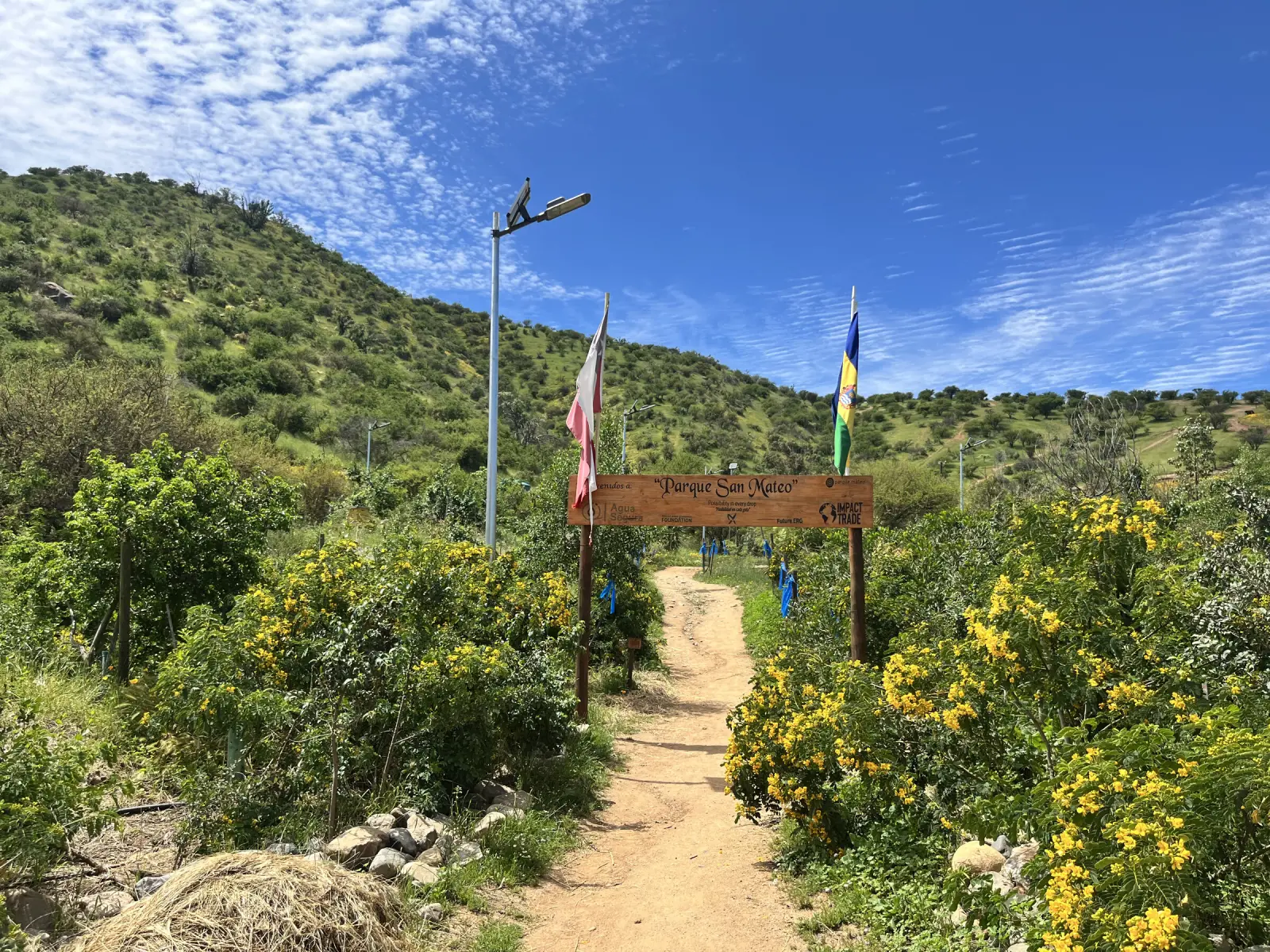 Sendero de tierra entre arbustos de flores amarillas que lleva al letrero de Parque San Mateo, con banderas, un poste de luz solar y los cerros verdes al fondo