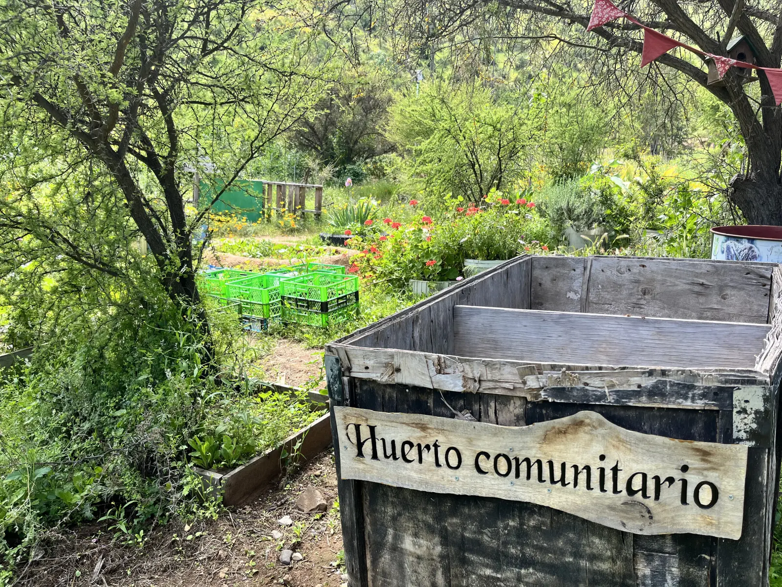 Detalle del letrero «Huerto comunitario» en una caja de madera, con cajones verdes, flores rojas y banderines al fondo, en el Parque San Mateo