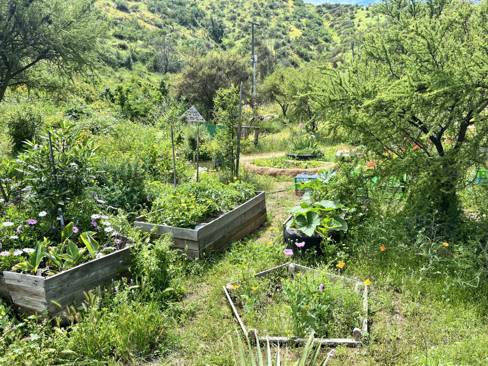 Huerto comunitario del Parque San Mateo, con cajoneras de madera con flores y hortalizas, un neumático reutilizado como maceta y un sendero entre los cerros verdes