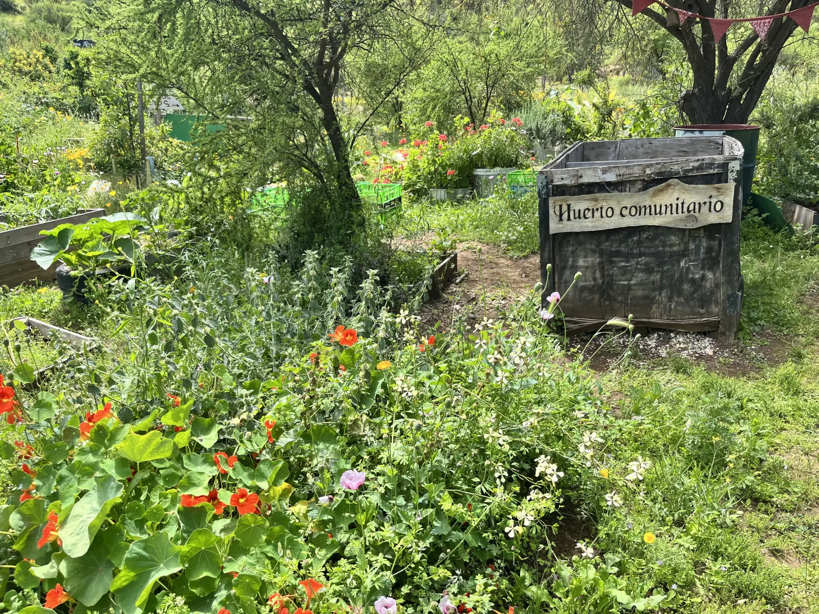 Letrero «Huerto comunitario» sobre una caja de madera, entre flores y plantas del Parque San Mateo, con banderines colgados de un árbol