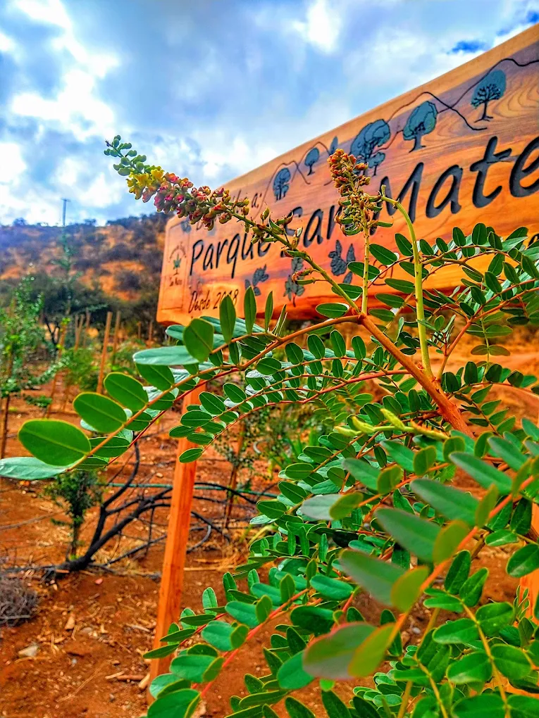 Parque San Mateo