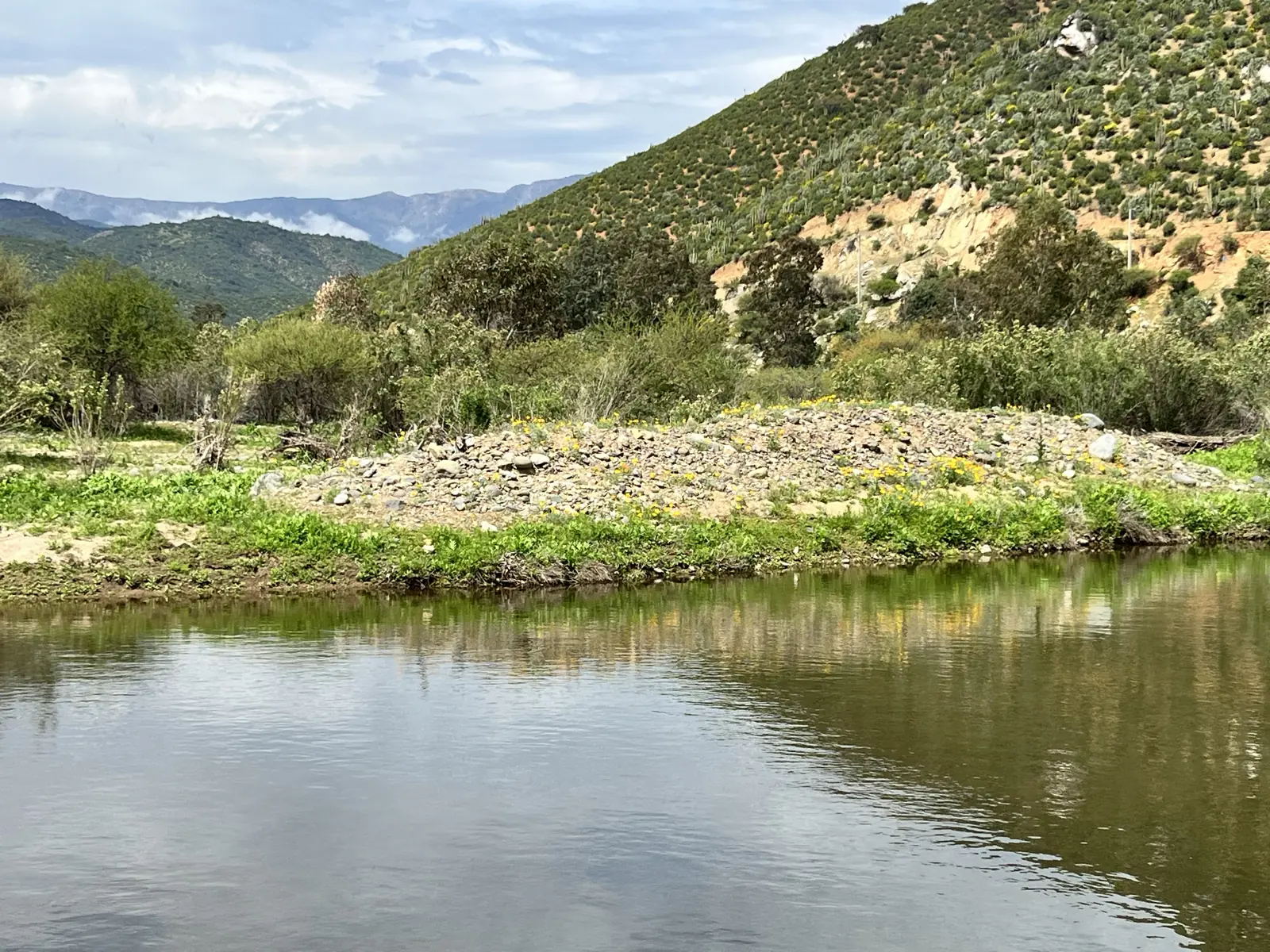Orilla de piedras con flores amarillas junto a la poza, con cerros y montañas al fondo