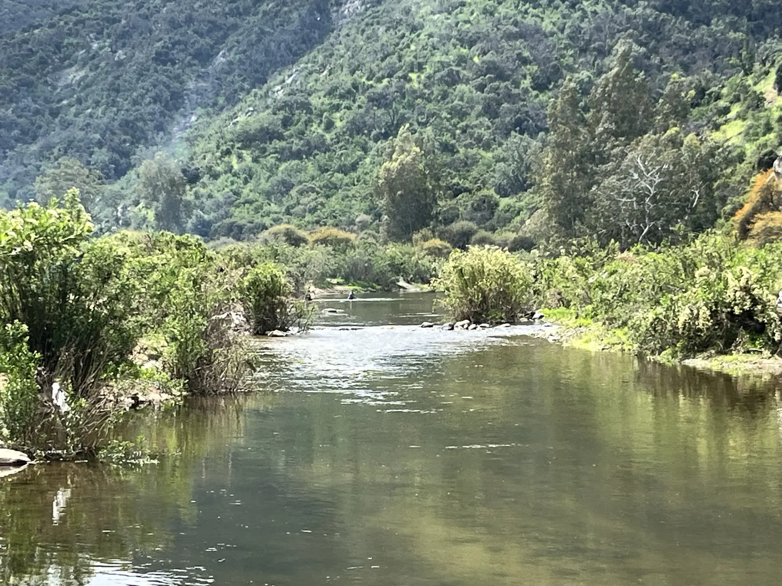 El río Puangue corriendo entre vegetación al pie de un cerro verde