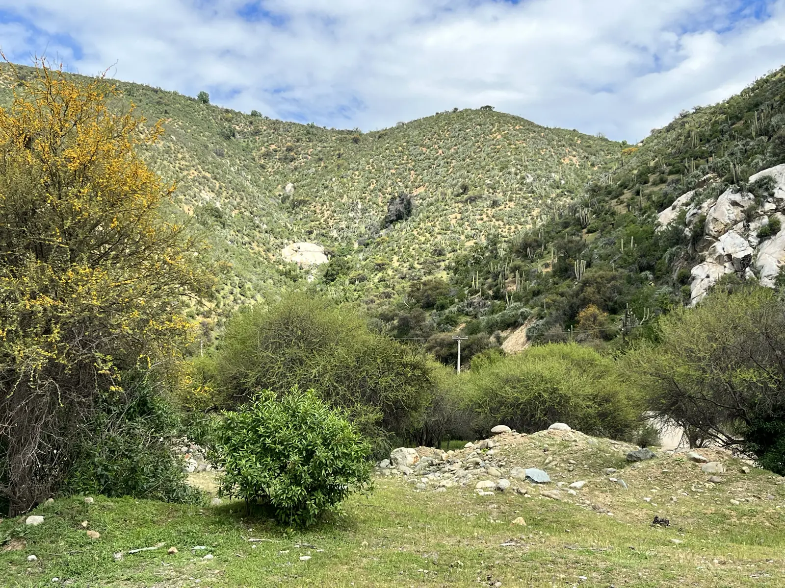 Explanada con arbustos en flor y laderas con rocas junto a la poza